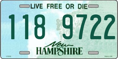 NH license plate 1189722