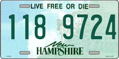 NH license plate 1189724
