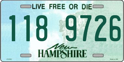 NH license plate 1189726