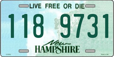 NH license plate 1189731