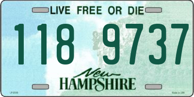 NH license plate 1189737