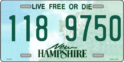 NH license plate 1189750
