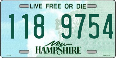 NH license plate 1189754