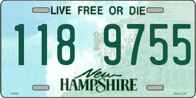 NH license plate 1189755