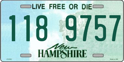 NH license plate 1189757