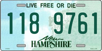 NH license plate 1189761