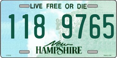 NH license plate 1189765