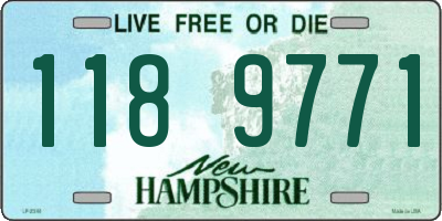 NH license plate 1189771