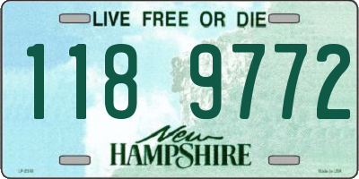 NH license plate 1189772