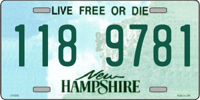 NH license plate 1189781
