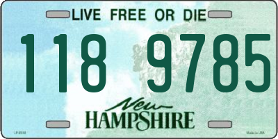 NH license plate 1189785