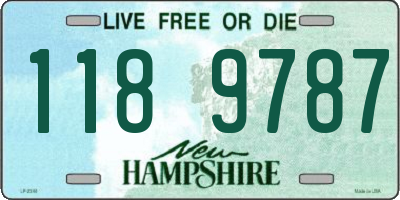 NH license plate 1189787