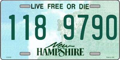 NH license plate 1189790