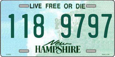 NH license plate 1189797