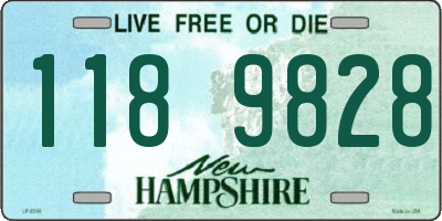 NH license plate 1189828