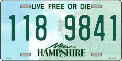 NH license plate 1189841