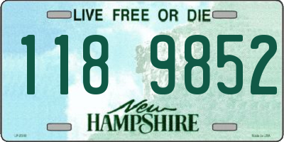 NH license plate 1189852