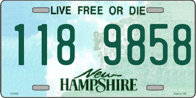 NH license plate 1189858