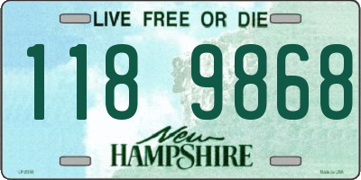 NH license plate 1189868