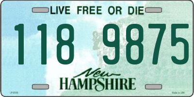 NH license plate 1189875