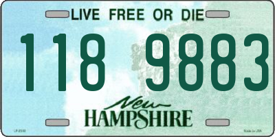 NH license plate 1189883