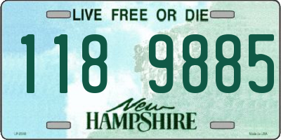 NH license plate 1189885
