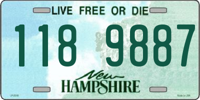 NH license plate 1189887