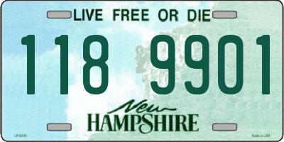 NH license plate 1189901