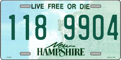 NH license plate 1189904