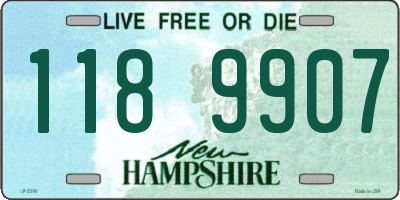 NH license plate 1189907