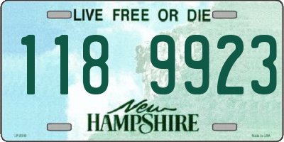 NH license plate 1189923