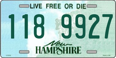 NH license plate 1189927