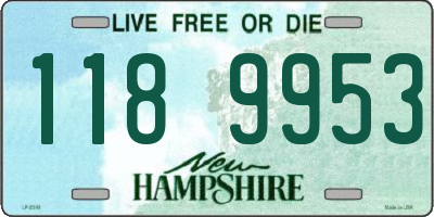 NH license plate 1189953
