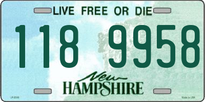 NH license plate 1189958