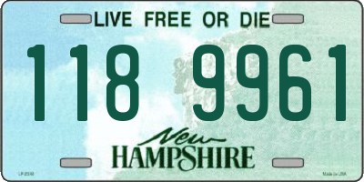 NH license plate 1189961