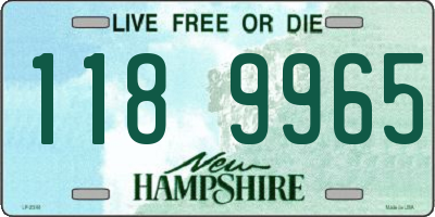 NH license plate 1189965