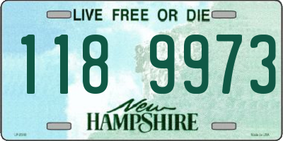 NH license plate 1189973