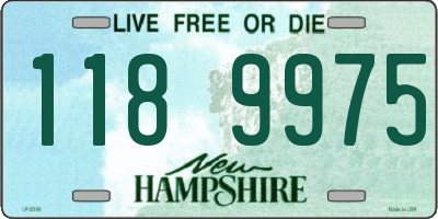 NH license plate 1189975