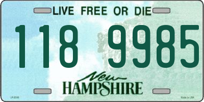 NH license plate 1189985