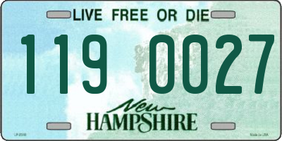 NH license plate 1190027