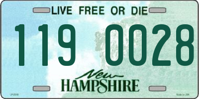 NH license plate 1190028
