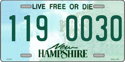 NH license plate 1190030