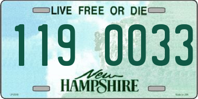 NH license plate 1190033