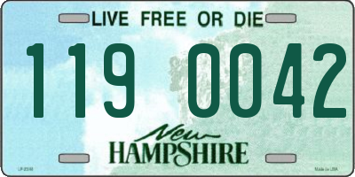 NH license plate 1190042