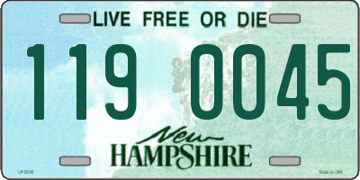 NH license plate 1190045