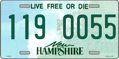 NH license plate 1190055