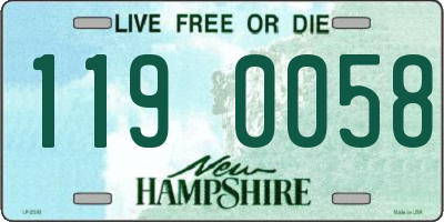 NH license plate 1190058