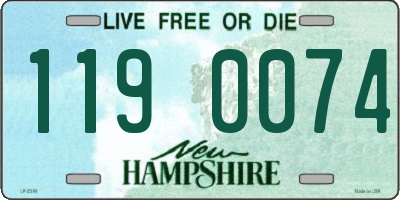 NH license plate 1190074