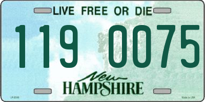 NH license plate 1190075