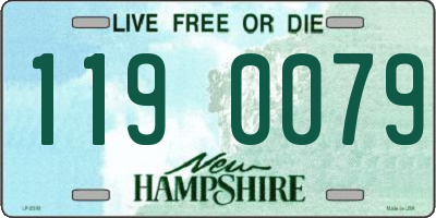 NH license plate 1190079